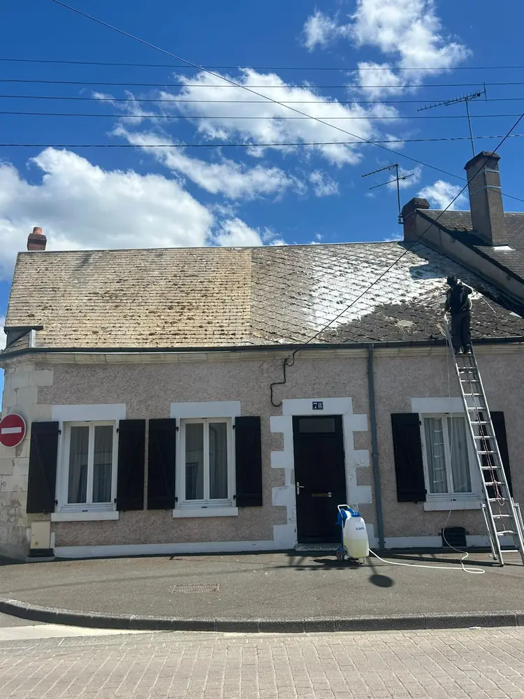 Toiture couverte de mousse avant nettoyage et démoussage